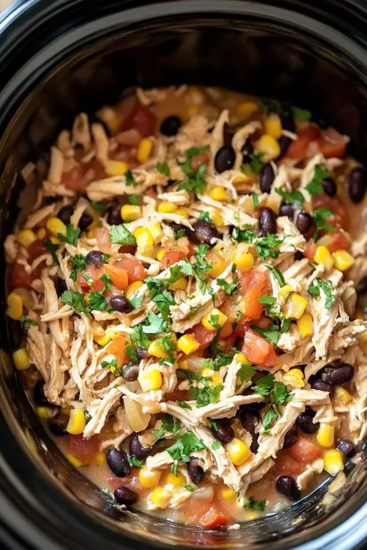slow-cooker-fiesta-chicken (2)