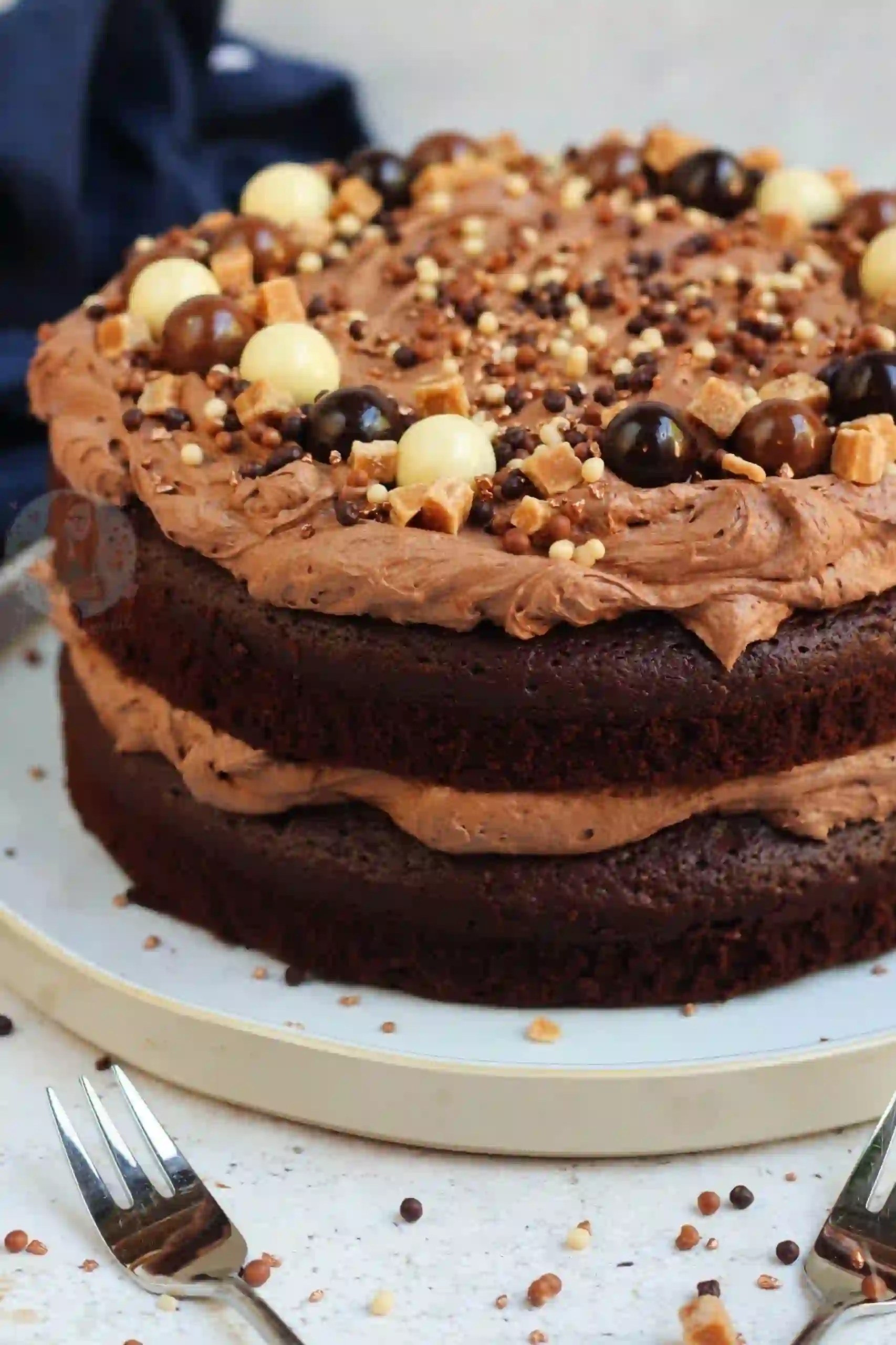 "Homemade chocolate cake with rich chocolate frosting, moist layers, and a decadent chocolate flavor."