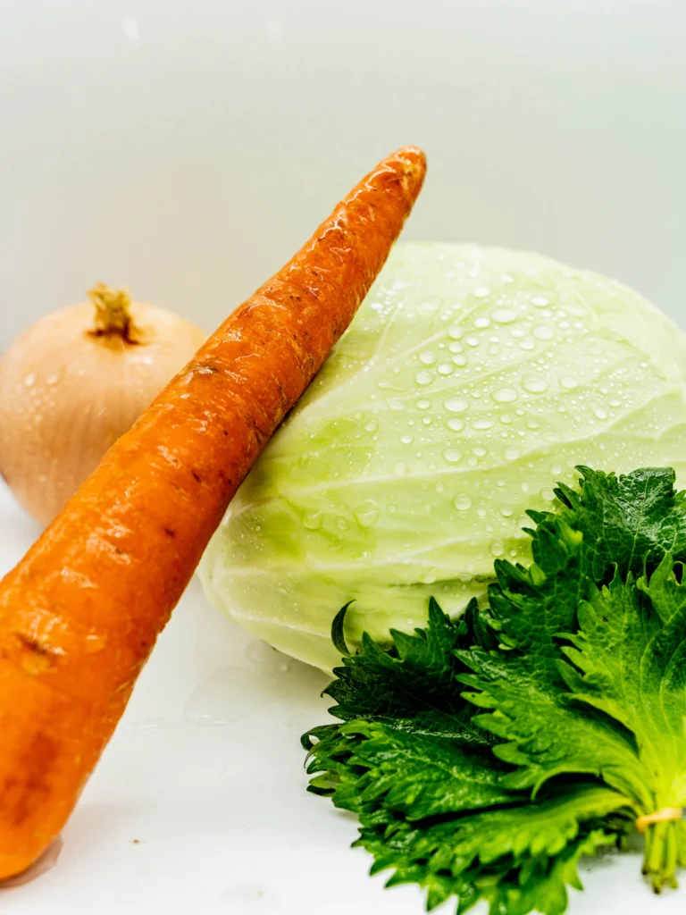 Cabbage soup ingredients: green cabbage, carrot, squash, and fresh parsley