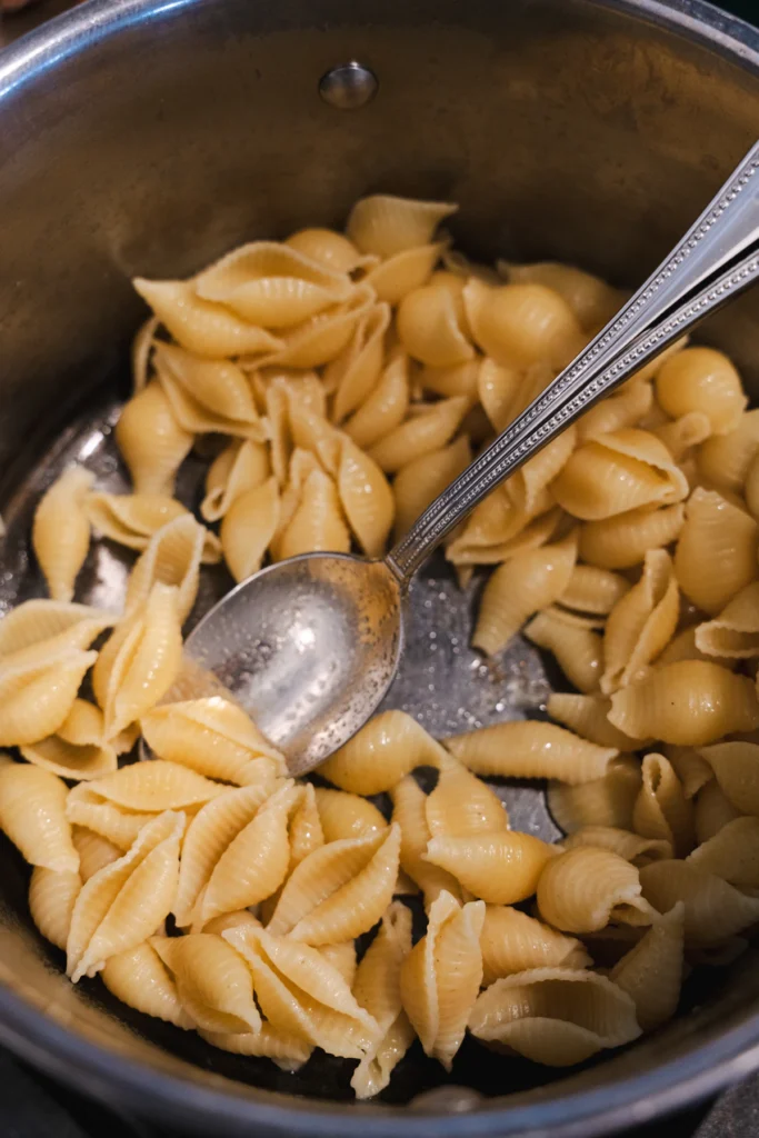 Cooked small shell pasta for pasta salad