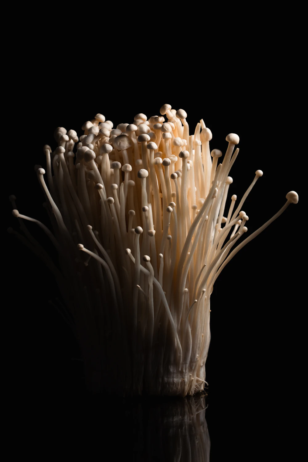 Enoki mushrooms with garlic and scallions