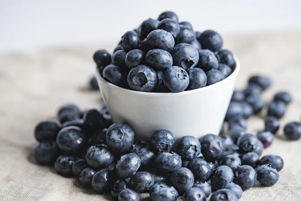 Bowl of fresh blueberries for protein muffins