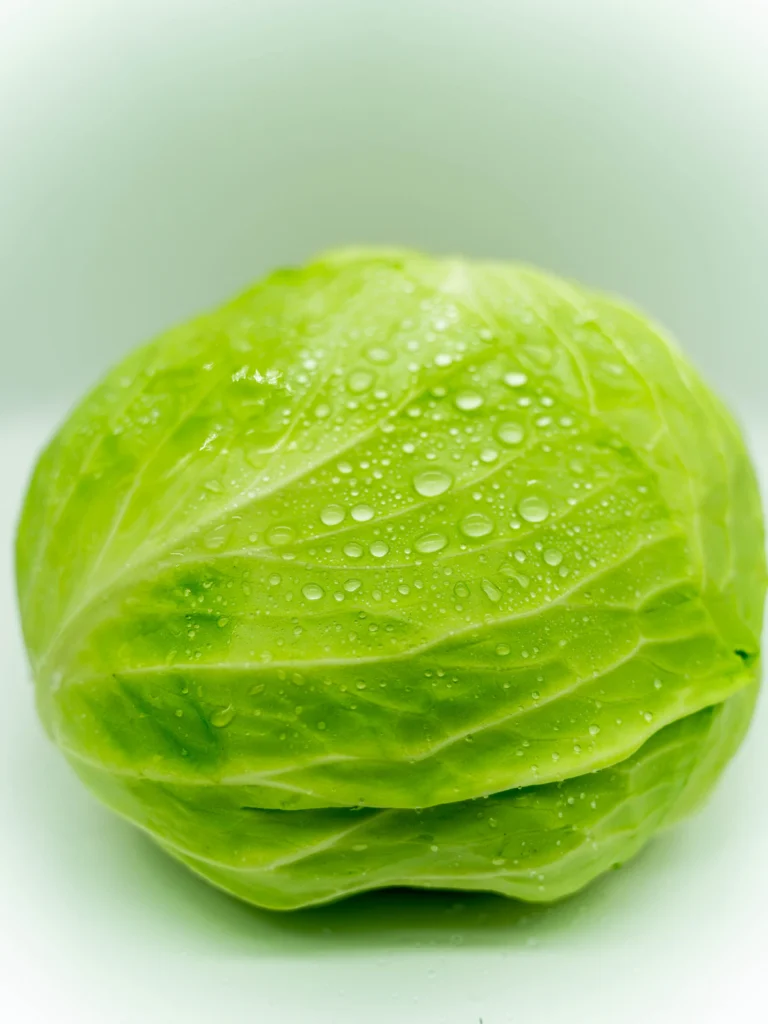Fresh head of green cabbage for soup