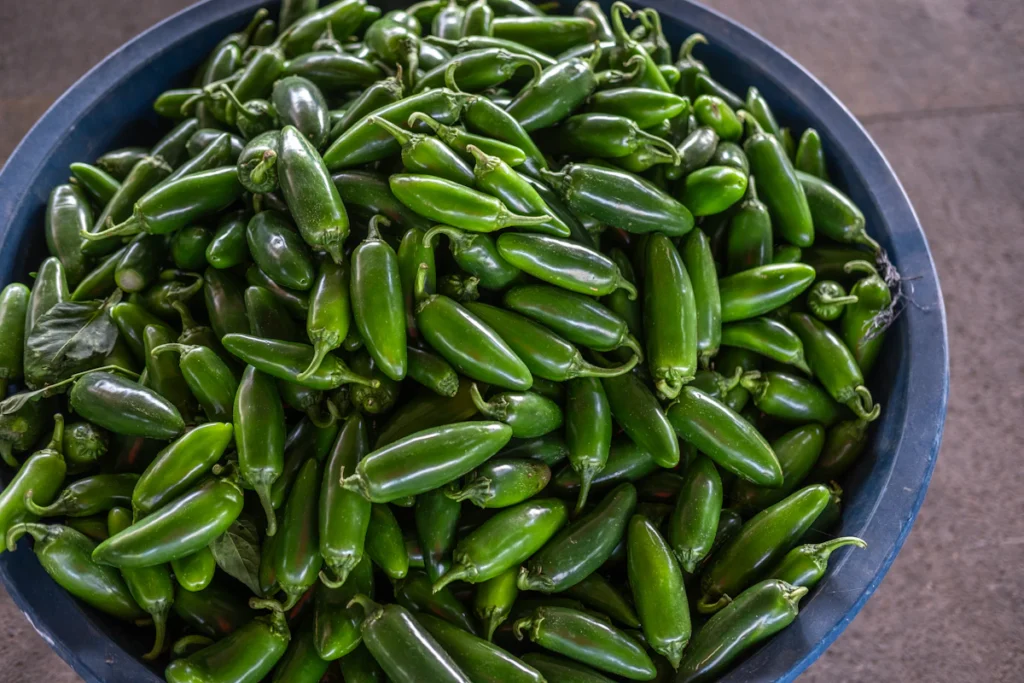 Fresh green chile peppers