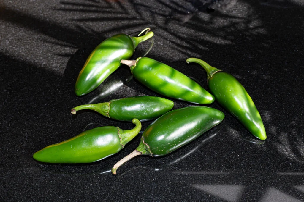Fresh green jalapeño peppers
