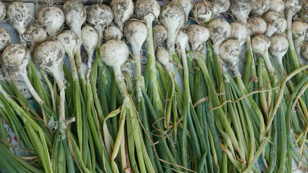 Fresh scallions for garnish