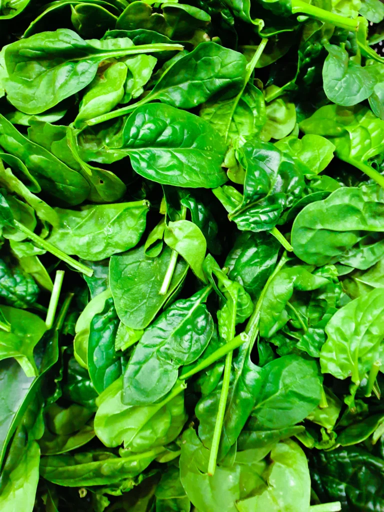 Fresh green spinach leaves for spinach chicken casserole