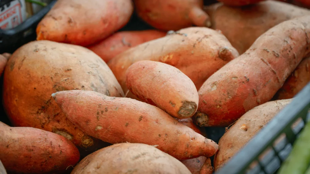 Fresh orange sweet potatoes for sweet potato casserole