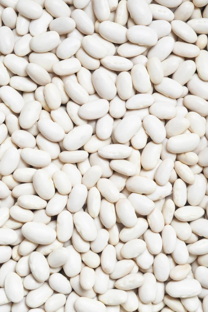 White cannellini beans added to cabbage soup for protein and fiber