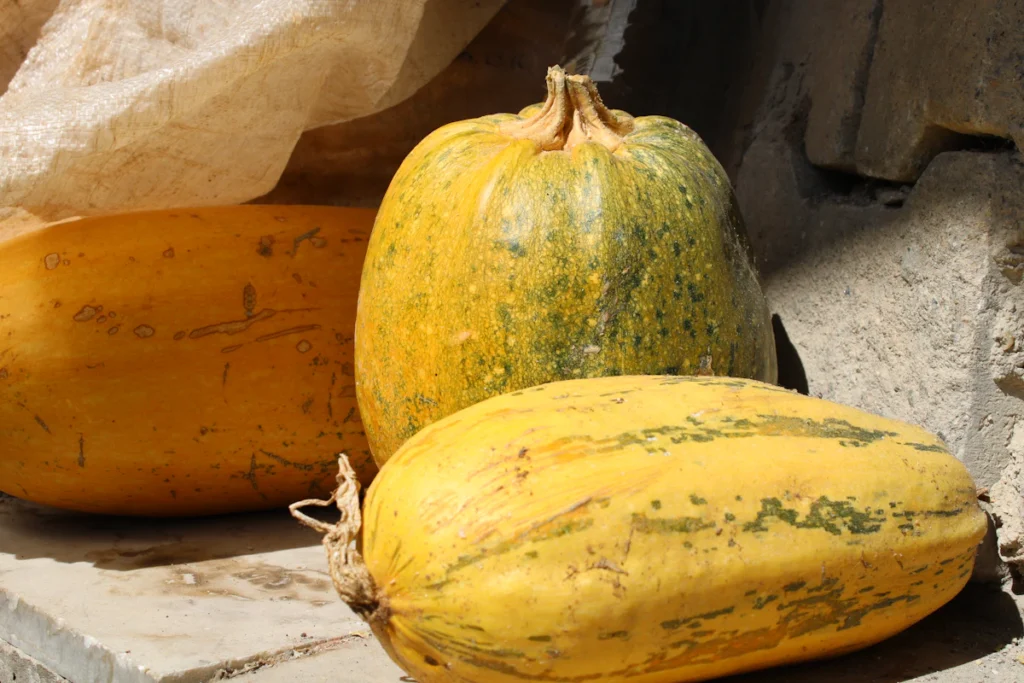Whole spaghetti squash