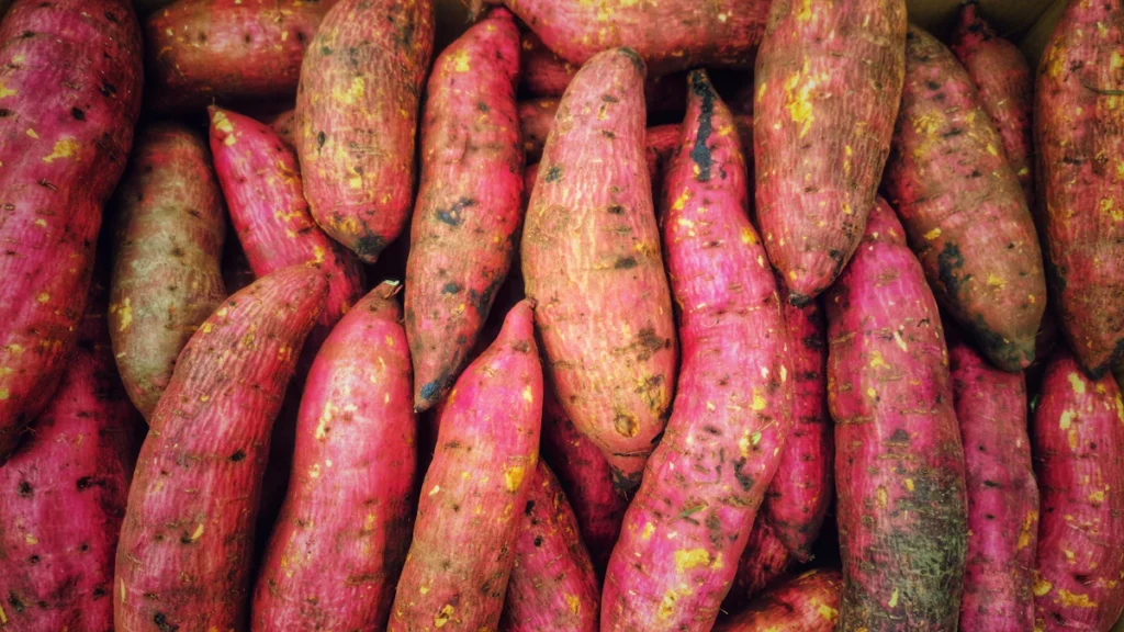 Whole sweet potatoes ready for roasting