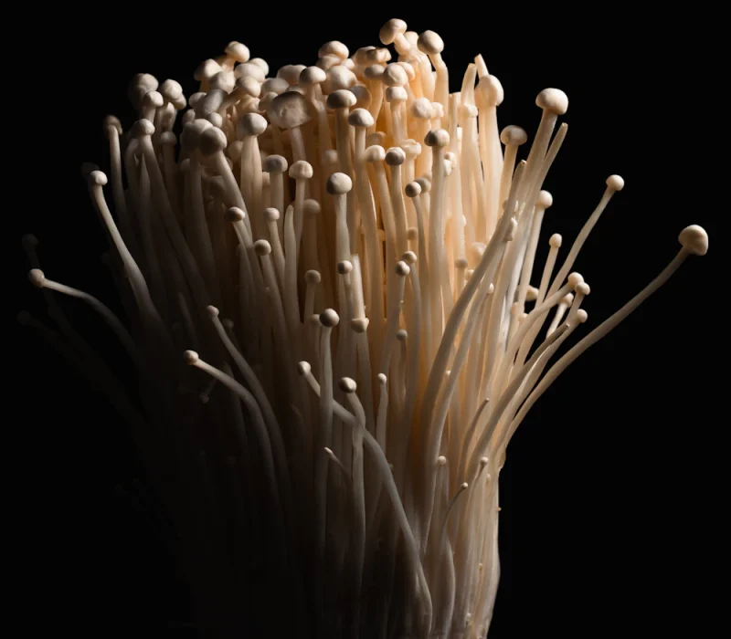 Enoki mushrooms with garlic and scallions